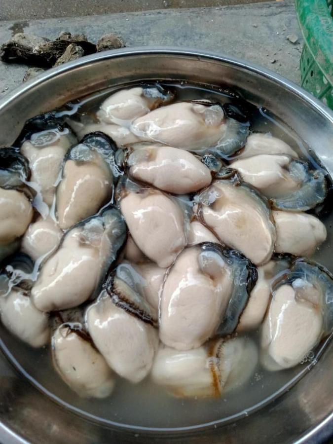 Thai Bao Hotel And Restaurant Chan Chau Екстериор снимка